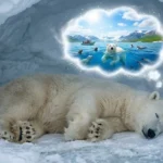 polar bear dream meaning